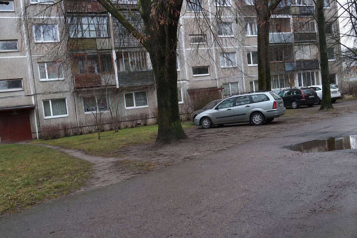 Veci koki daudzdzīvokļu mājas pagalmā starp ēku un stāvvietu