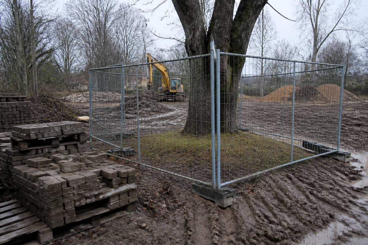 Nožogota koka sakņu aizsardzības zona būvdarbu laukumā