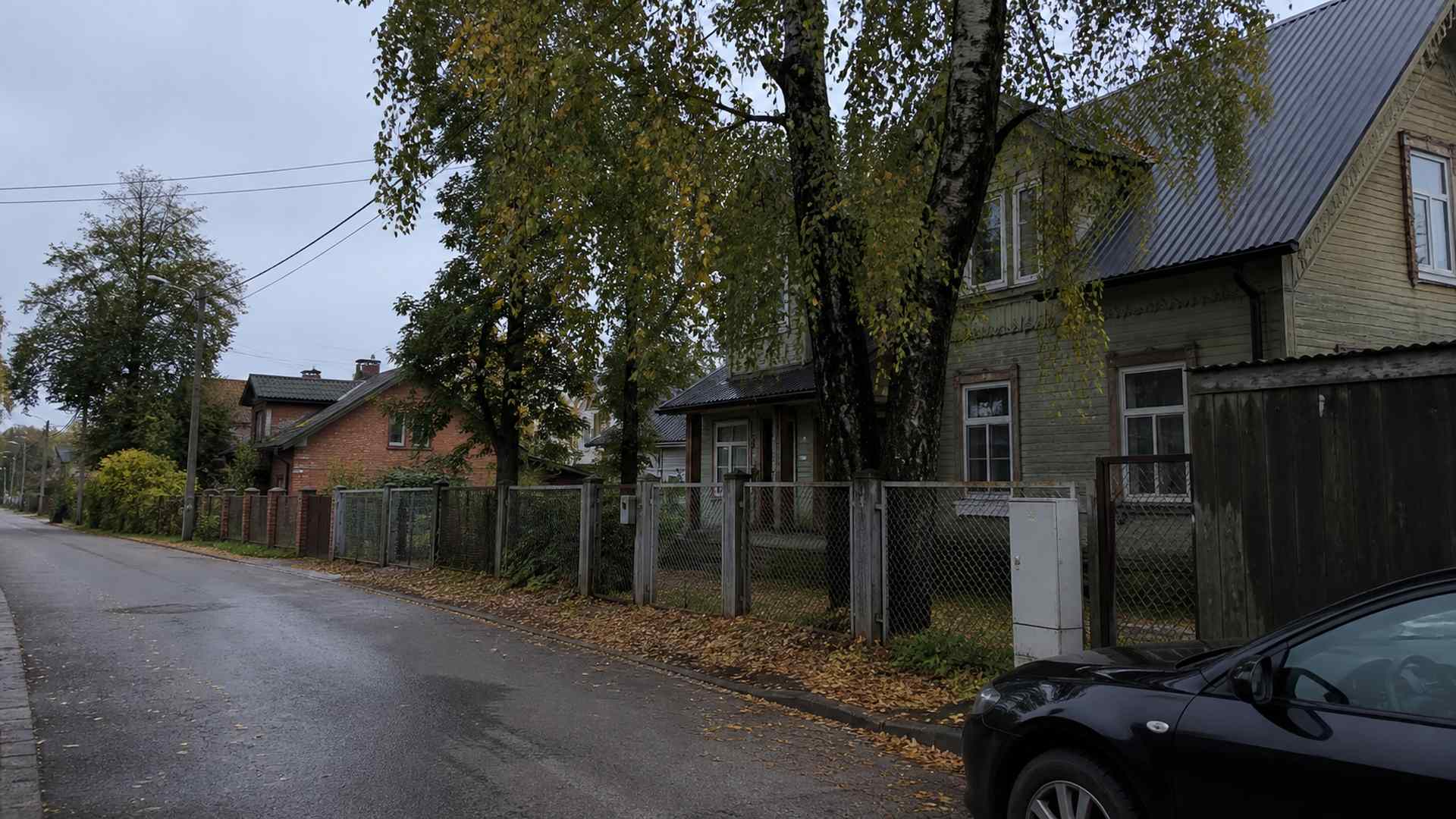 Rīgas priekšpilsētas iela ar lieliem bērziem un liepām pāri elektrības vadiem