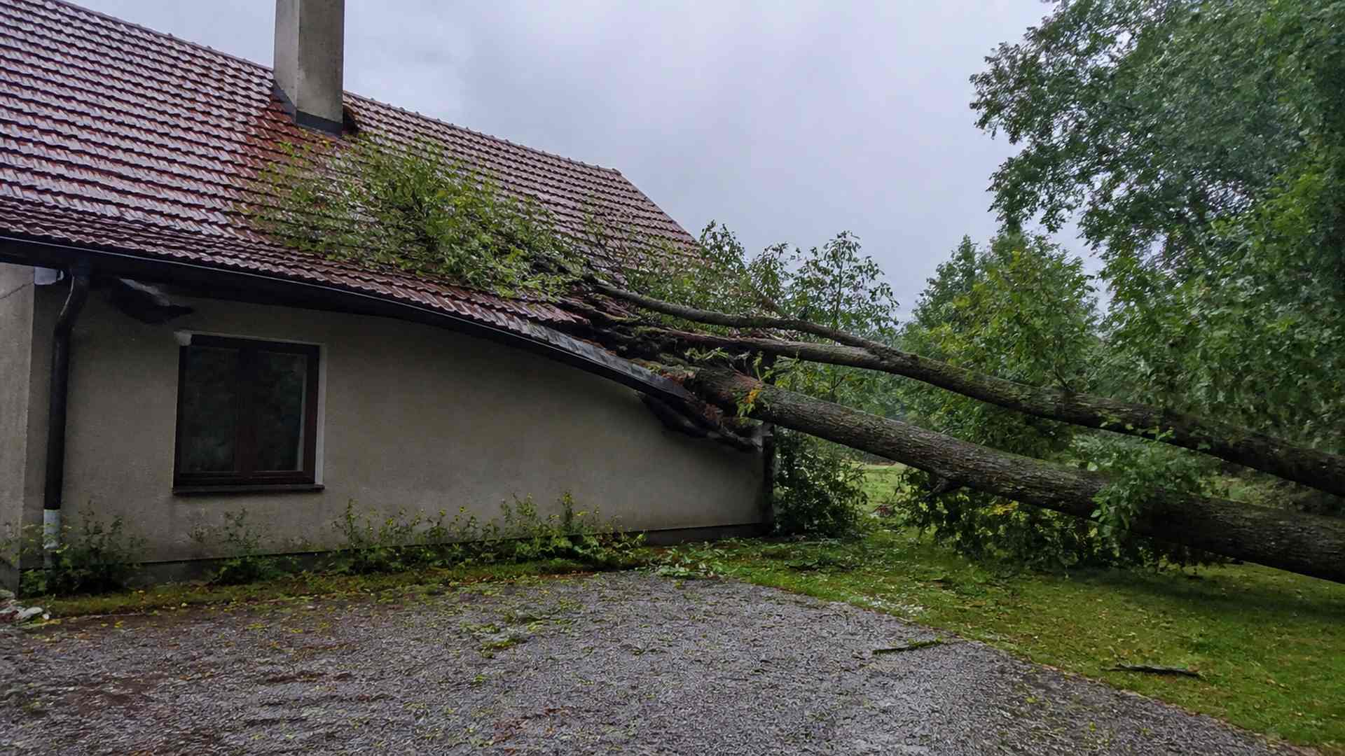 Vētrā nokritis koks uz dzīvojamās mājas jumta
